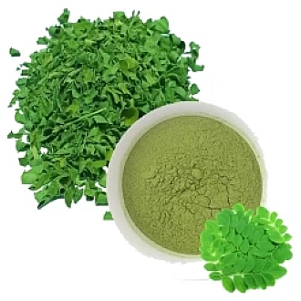 Acure Moringa Powder 400g value pack with fresh drumstick leaves for family health